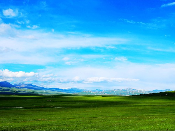 喆能新疆電磁采暖招商加盟活動火熱進(jìn)行中